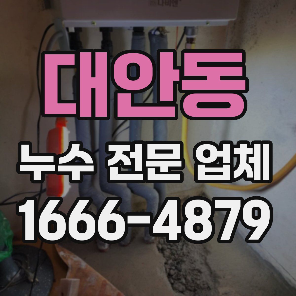 대안동 누수 전문 업체