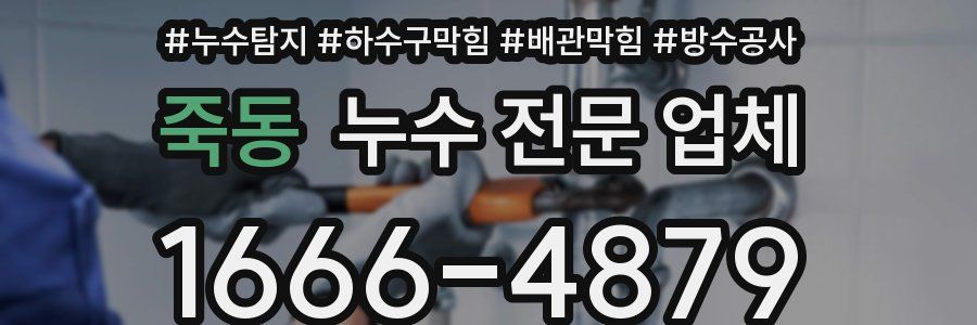 죽동 누수 전문 업체