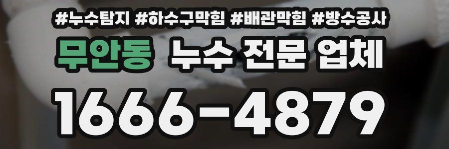 무안동 누수 전문 업체