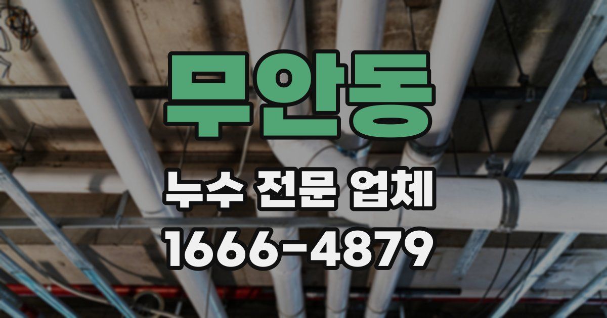 무안동 누수 전문 업체