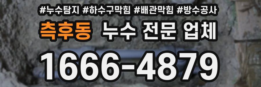 측후동 누수 전문 업체