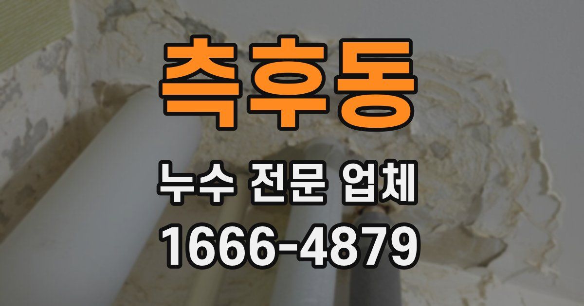 측후동 누수 전문 업체