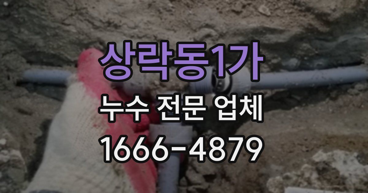 상락동1가 누수 전문 업체