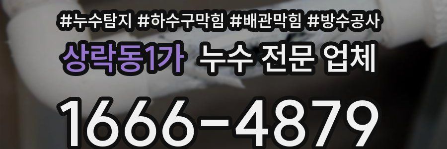 상락동1가 누수 전문 업체