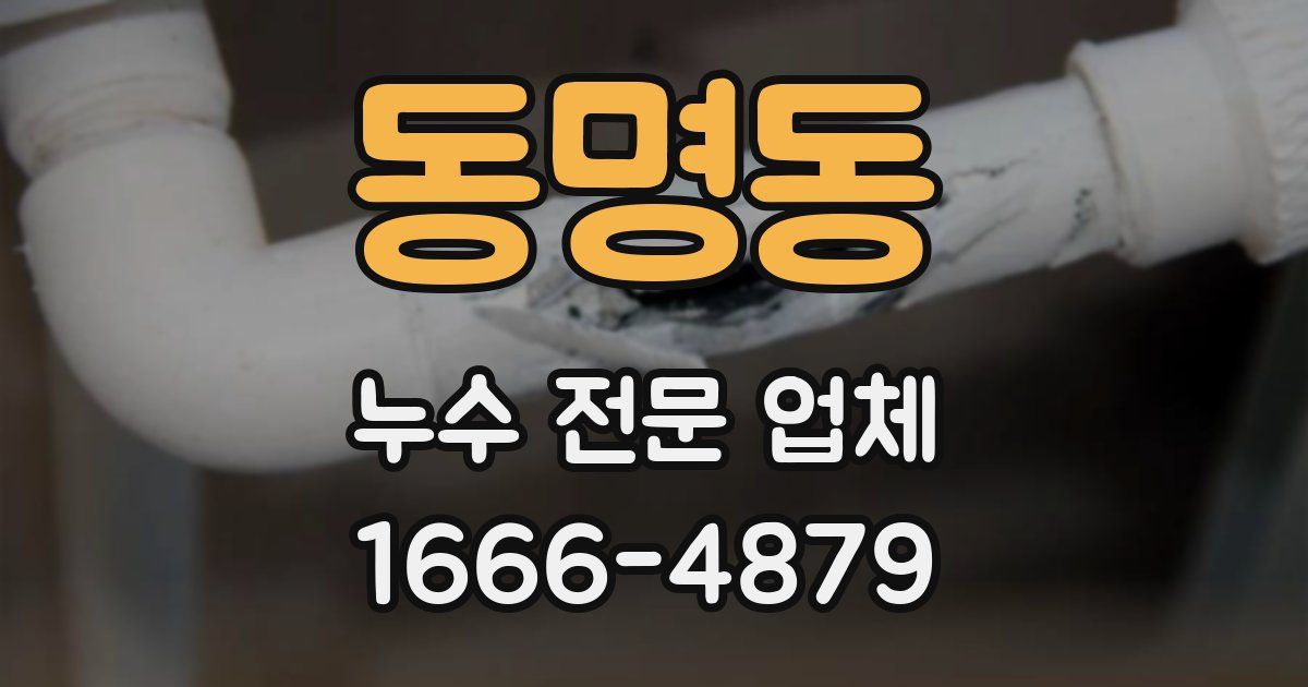 동명동 누수 전문 업체