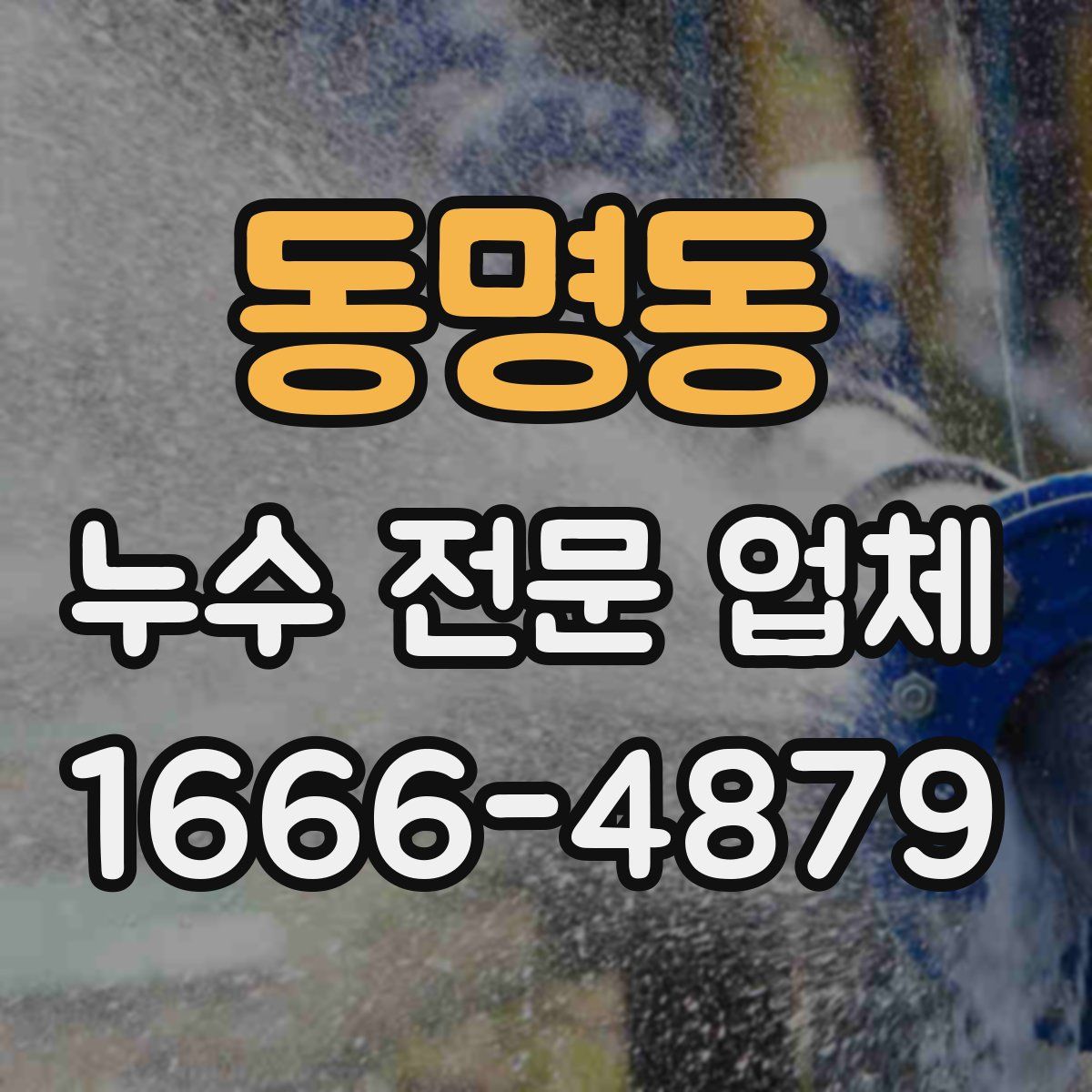 동명동 누수 전문 업체