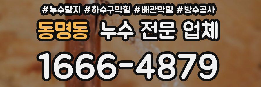 동명동 누수 전문 업체