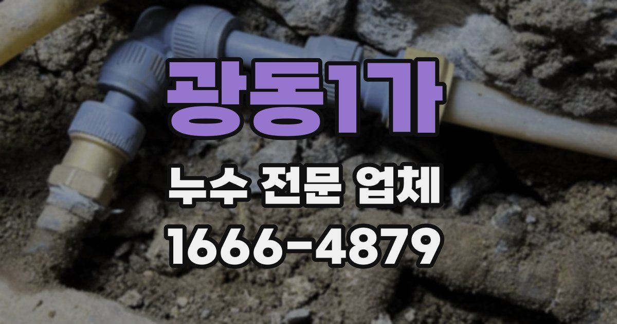 광동1가 누수 전문 업체