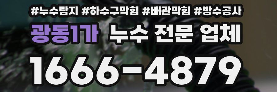 광동1가 누수 전문 업체