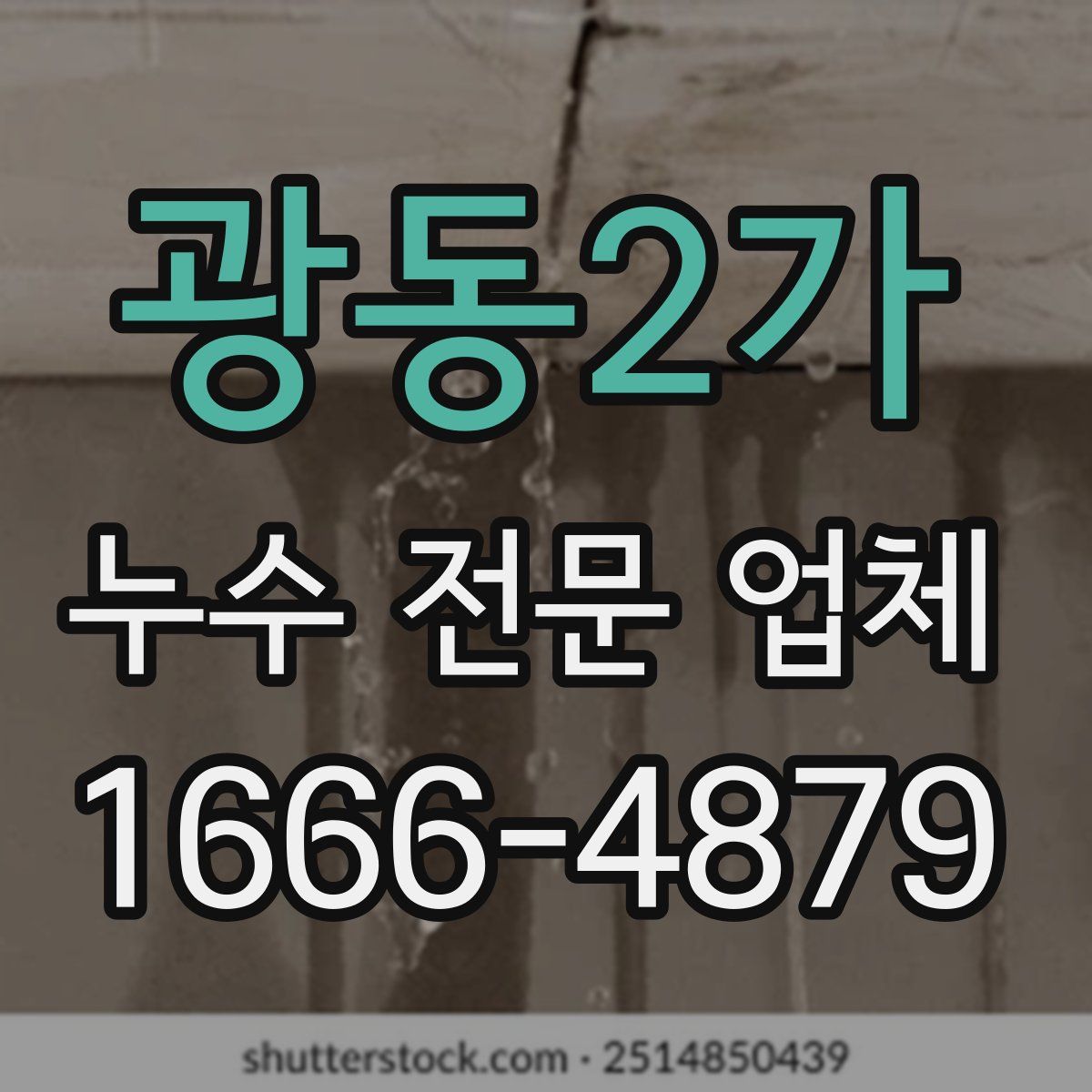 광동2가 누수 전문 업체