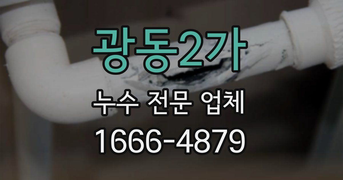 광동2가 누수 전문 업체
