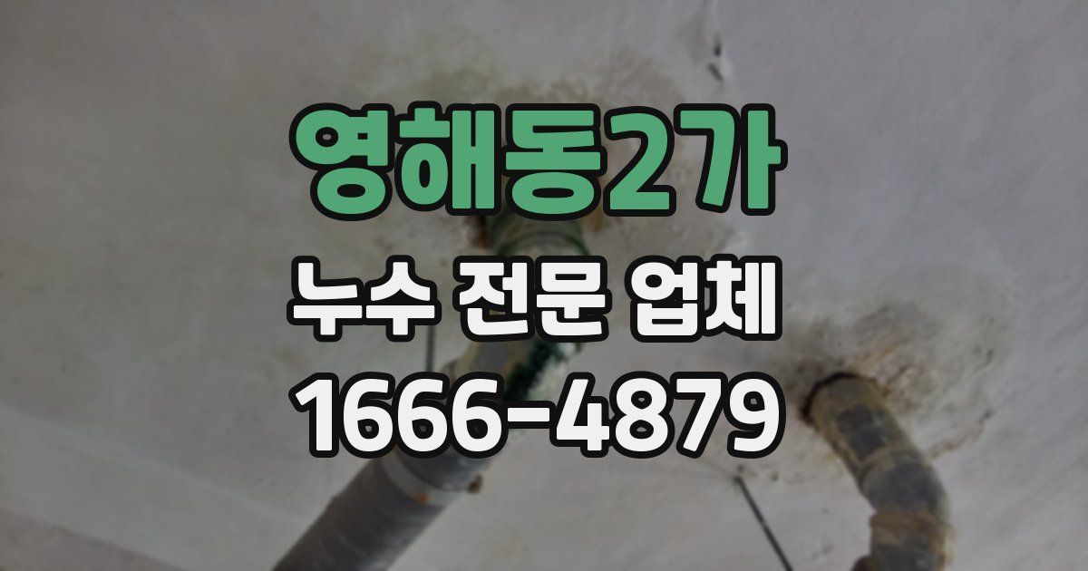 영해동2가 누수 전문 업체