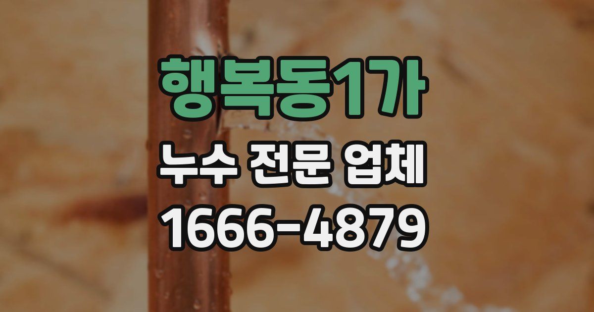 행복동1가 누수 전문 업체