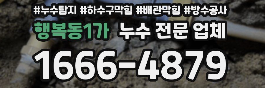 행복동1가 누수 전문 업체
