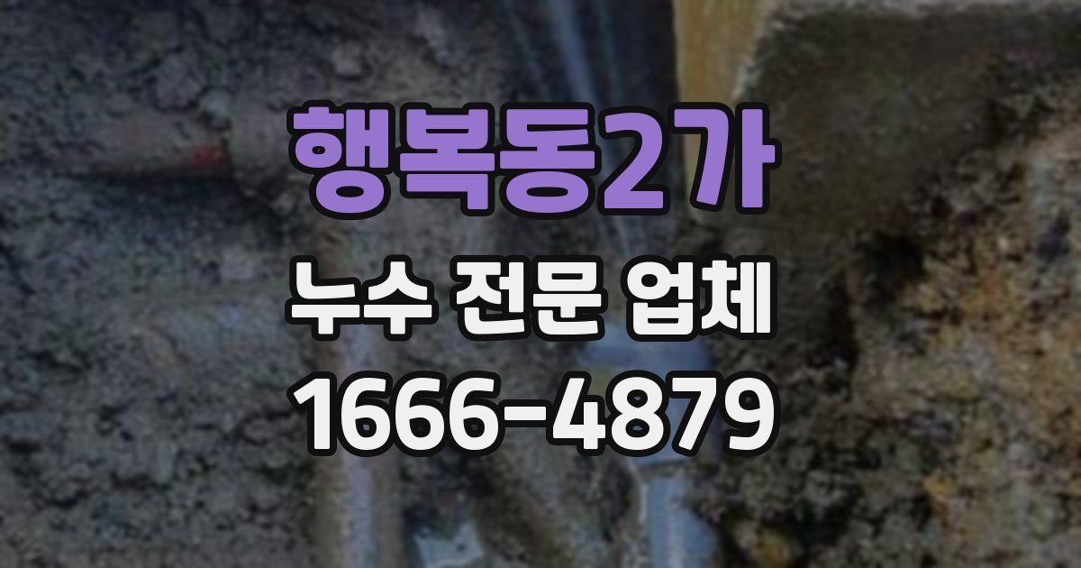 행복동2가 누수 전문 업체
