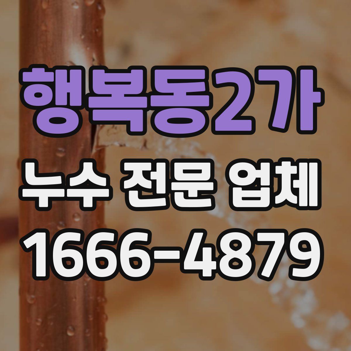 행복동2가 누수 전문 업체