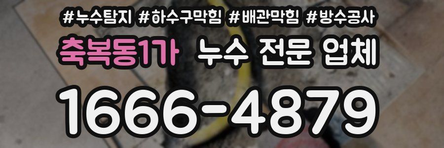 축복동1가 누수 전문 업체