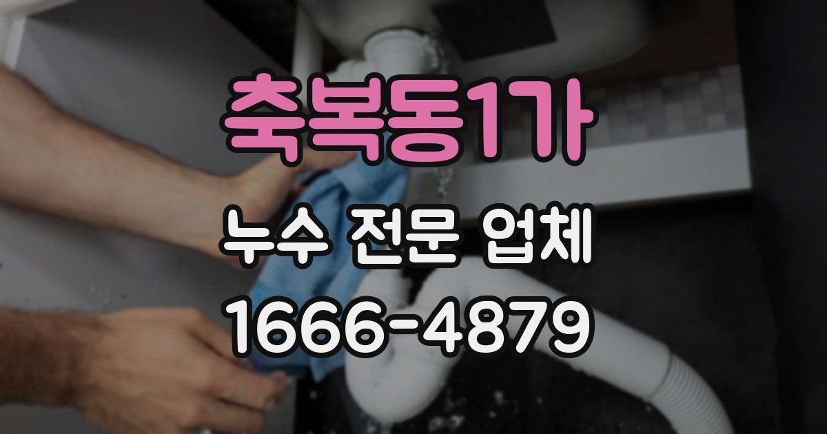 축복동1가 누수 전문 업체
