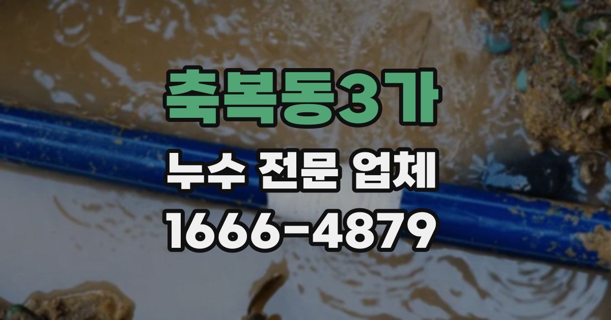 축복동3가 누수 전문 업체
