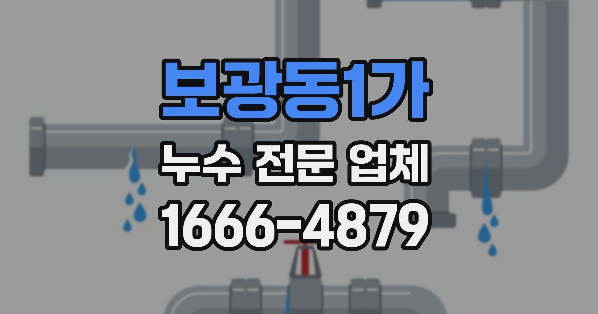 보광동1가 누수 전문 업체
