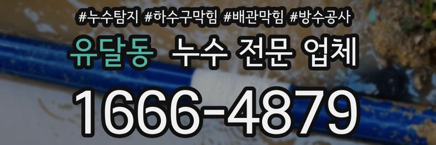 유달동 누수 전문 업체