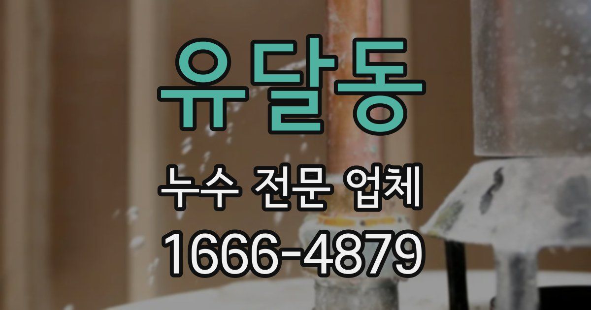 유달동 누수 전문 업체