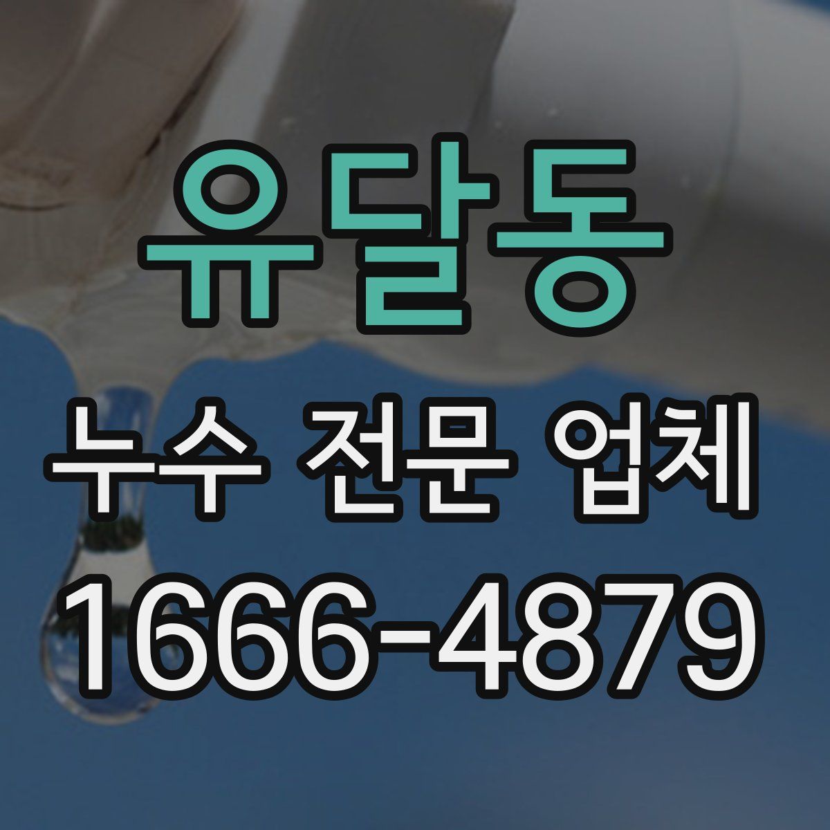 유달동 누수 전문 업체
