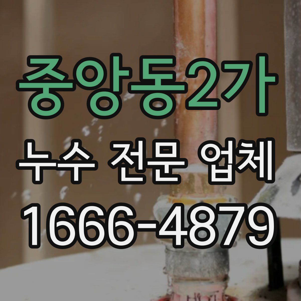 중앙동2가 누수 전문 업체