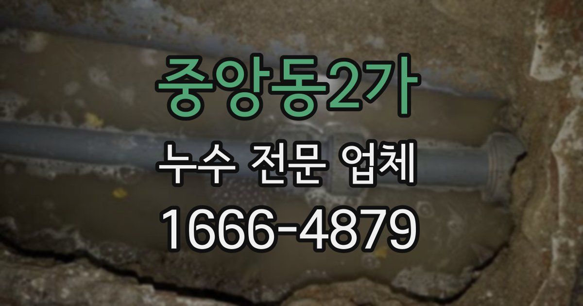 중앙동2가 누수 전문 업체