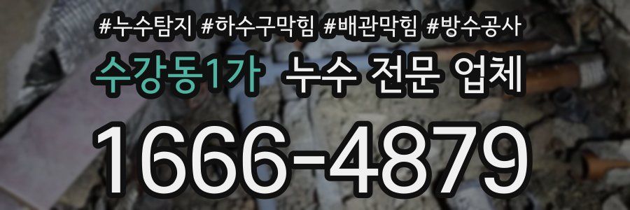 수강동1가 누수 전문 업체