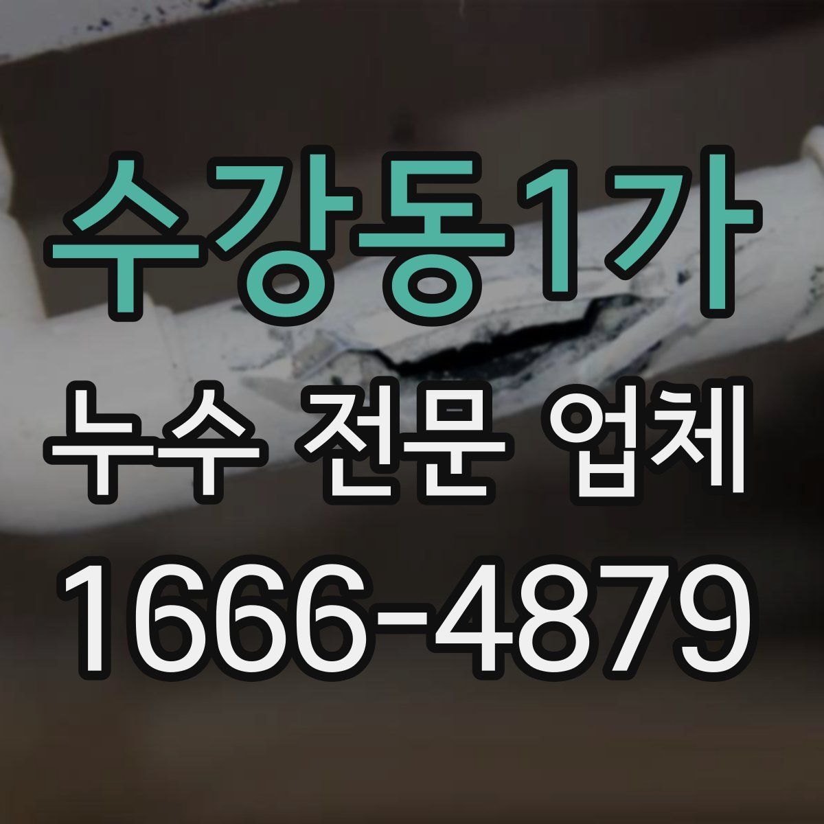 수강동1가 누수 전문 업체