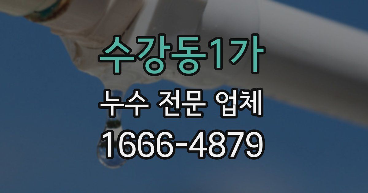 수강동1가 누수 전문 업체