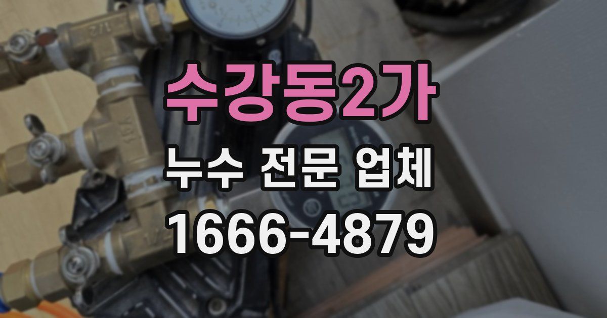 수강동2가 누수 전문 업체