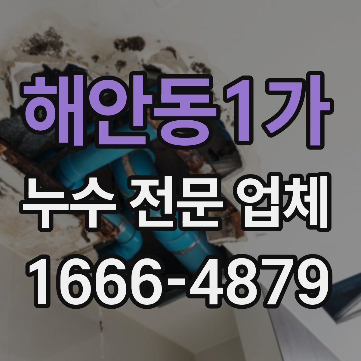 해안동1가 누수 전문 업체