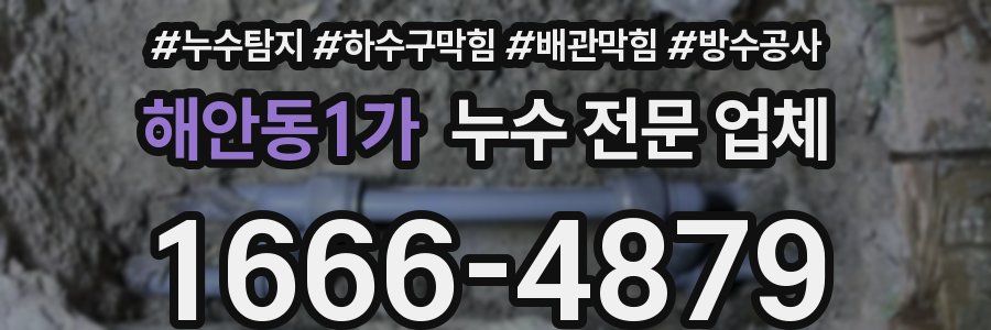 해안동1가 누수 전문 업체