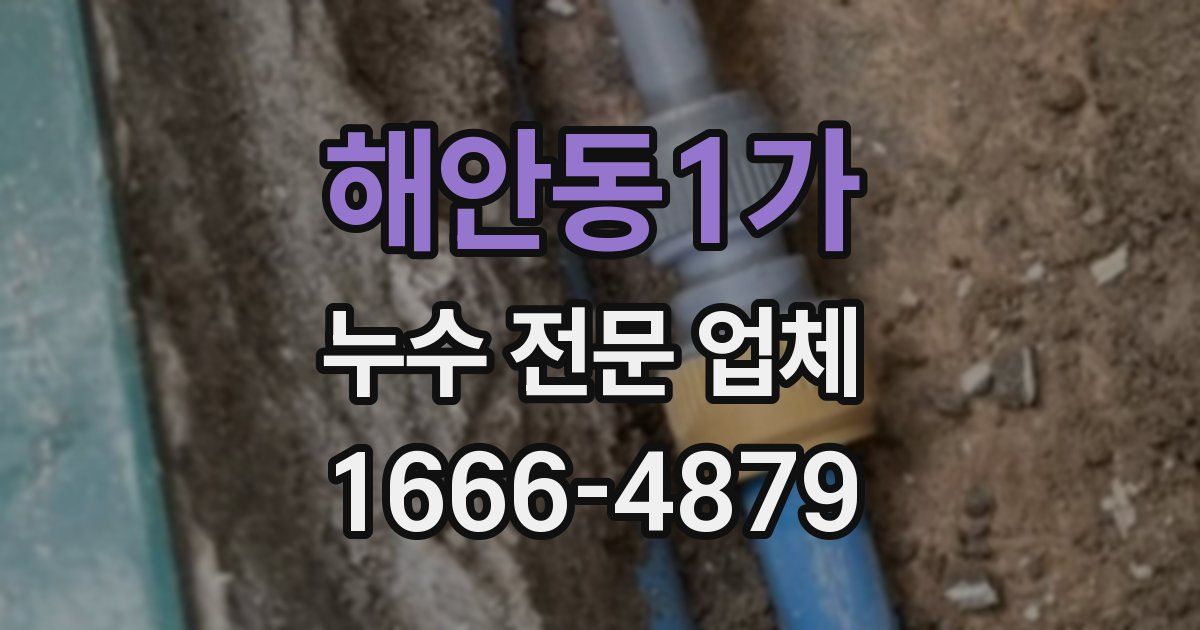 해안동1가 누수 전문 업체