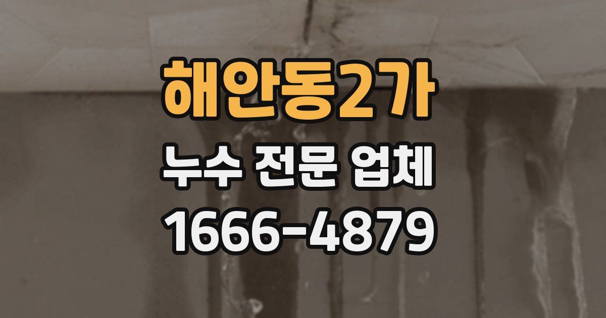 해안동2가 누수 전문 업체