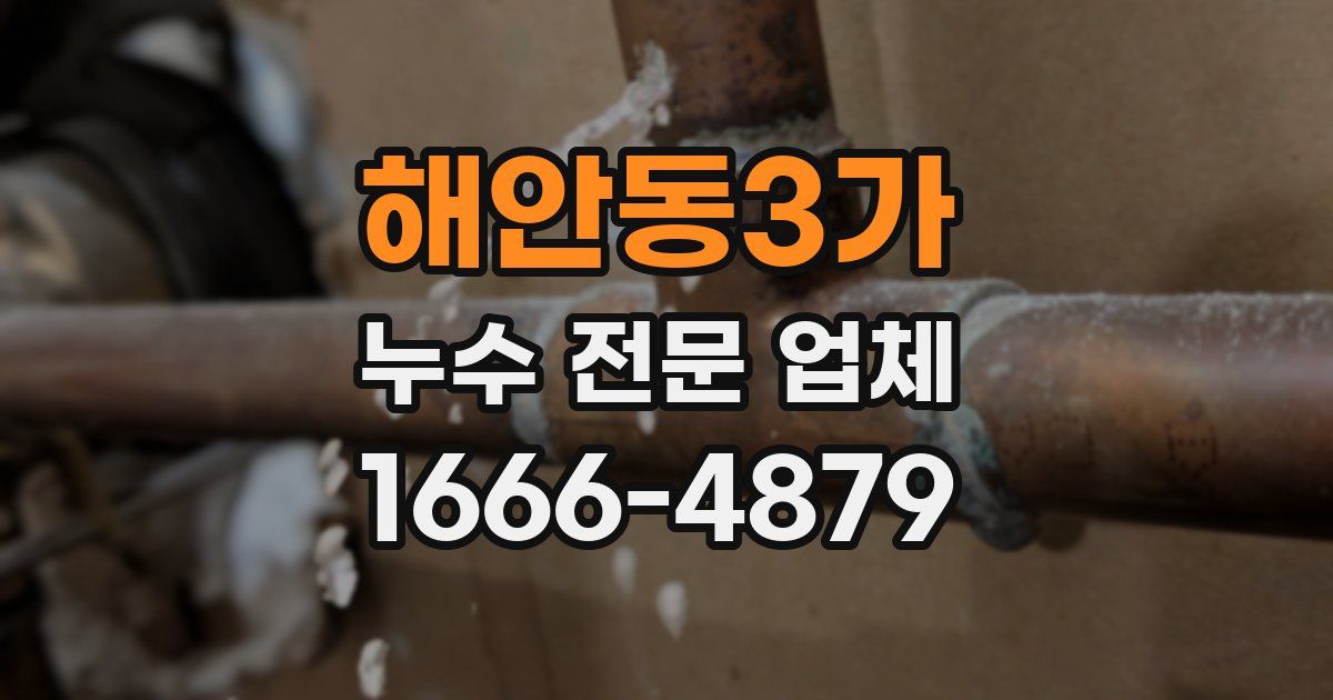 해안동3가 누수 전문 업체
