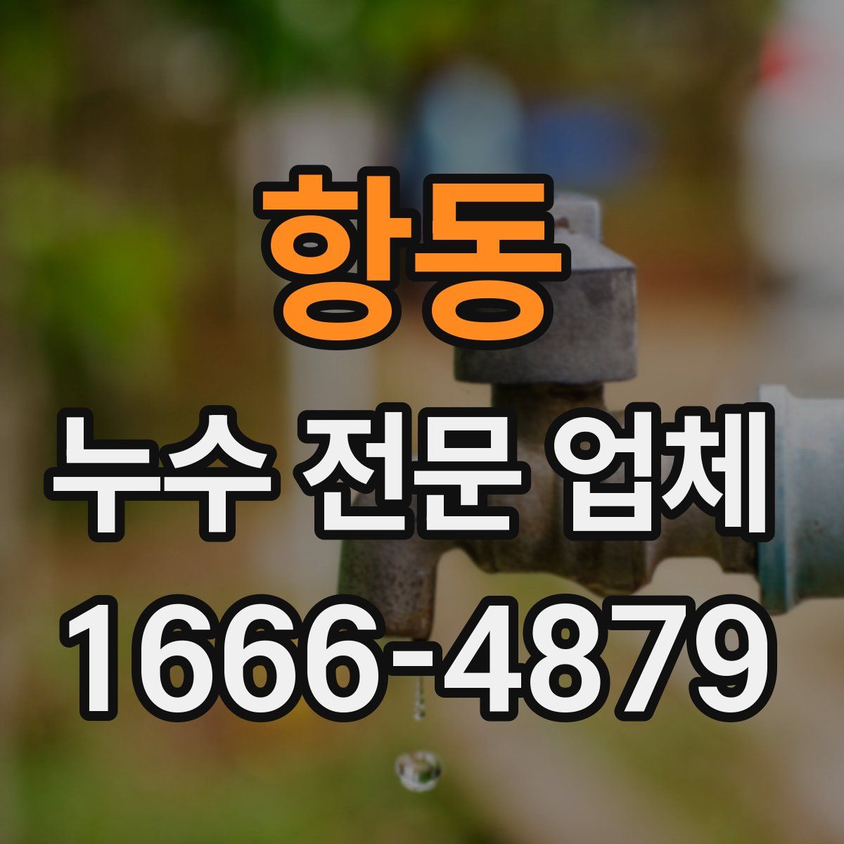 항동 누수 전문 업체