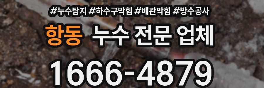 항동 누수 전문 업체