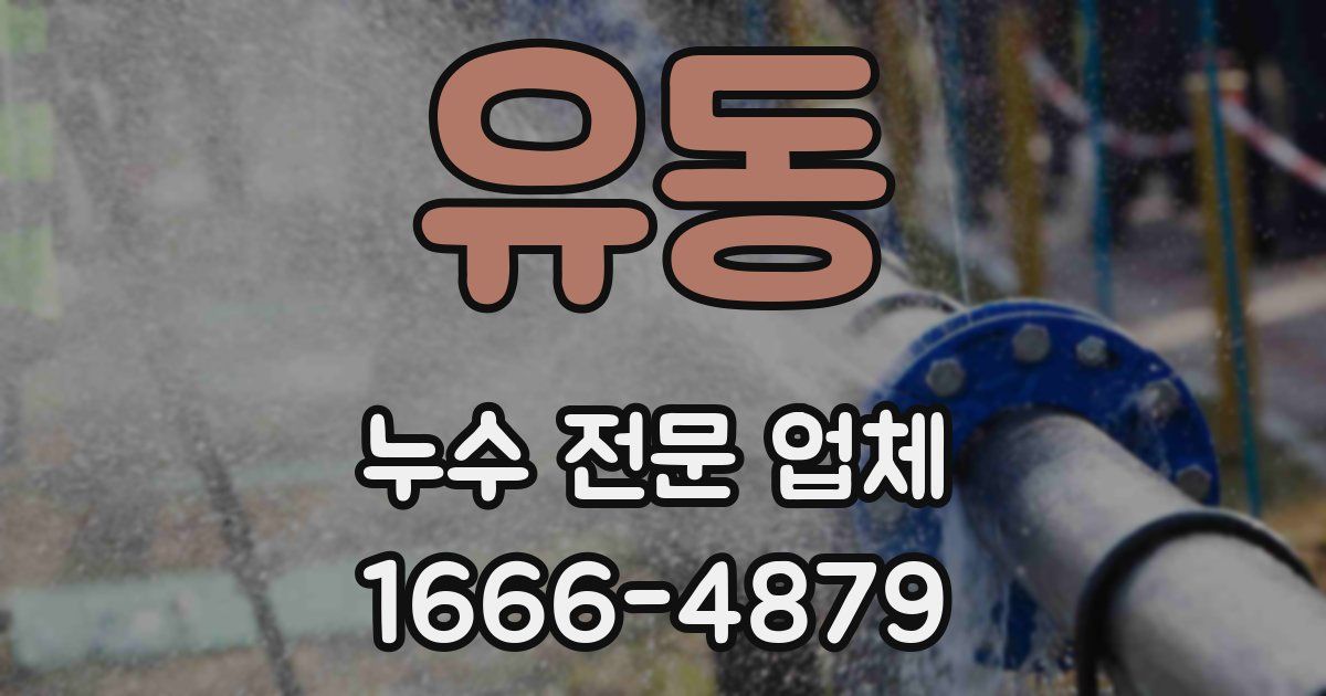유동 누수 전문 업체