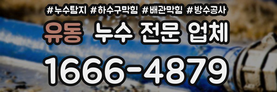 유동 누수 전문 업체