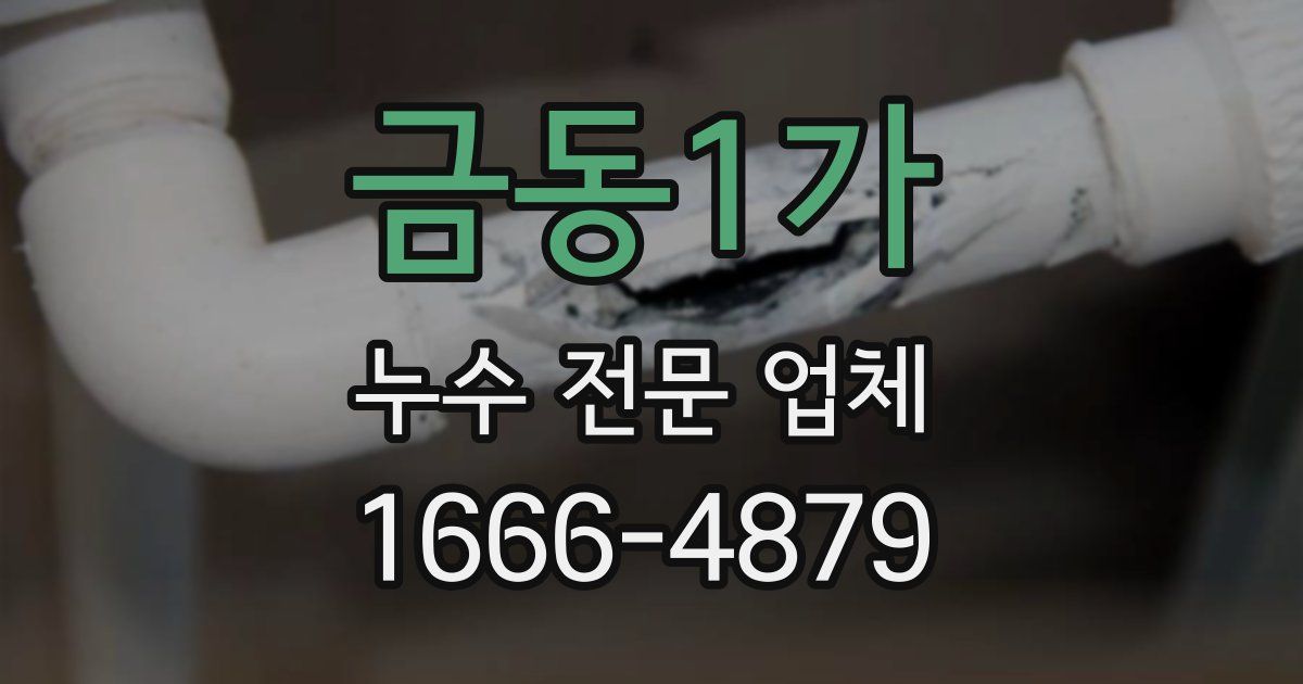 금동1가 누수 전문 업체