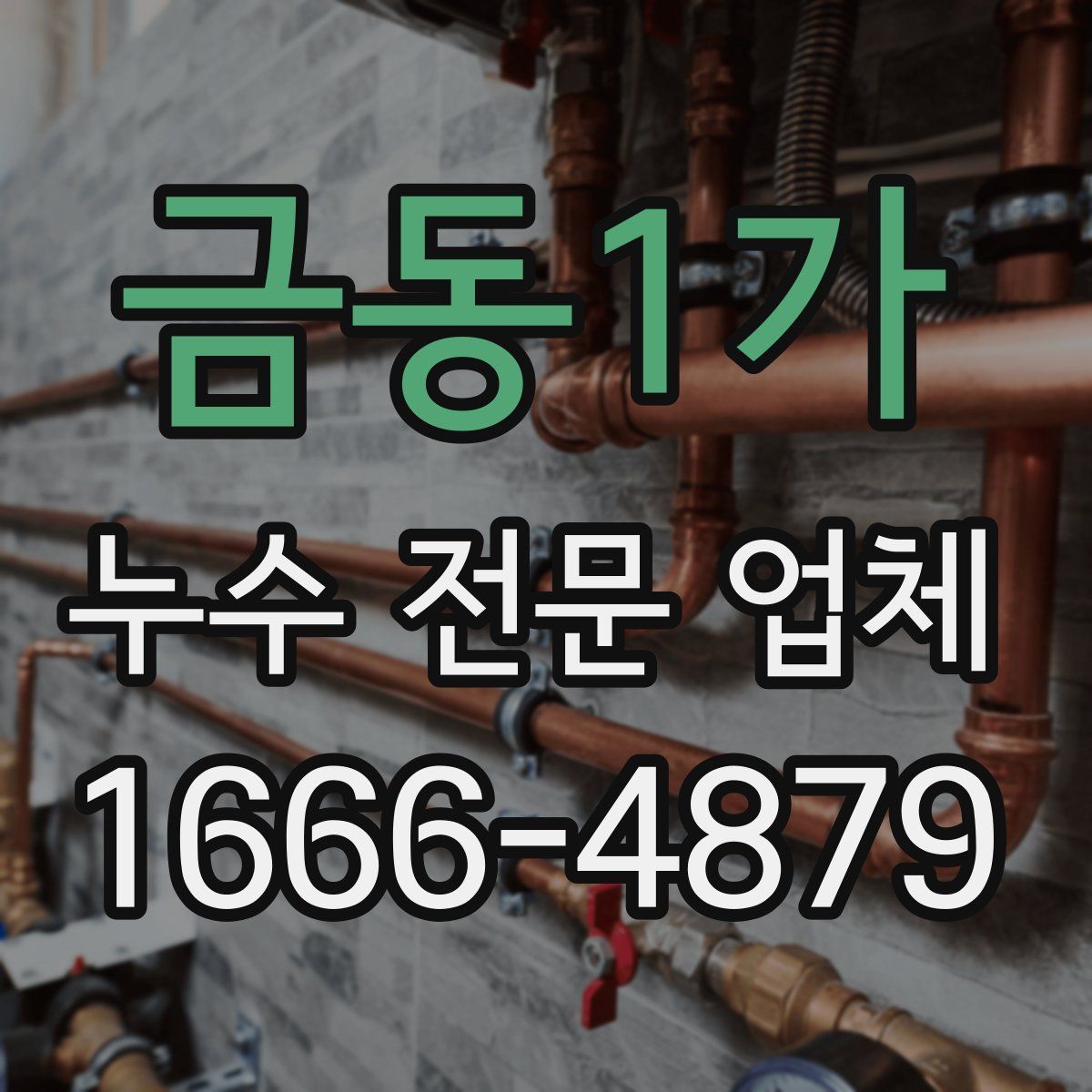 금동1가 누수 전문 업체