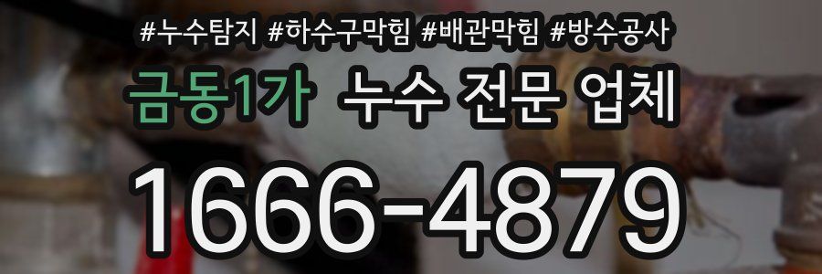 금동1가 누수 전문 업체