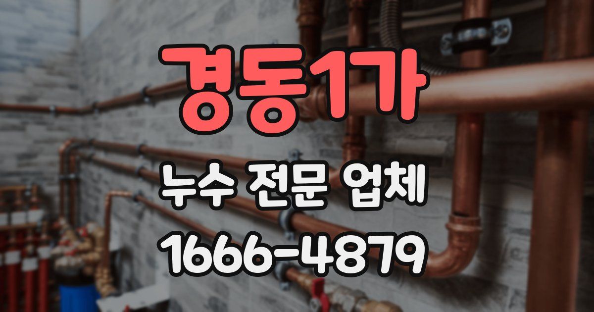 경동1가 누수 전문 업체