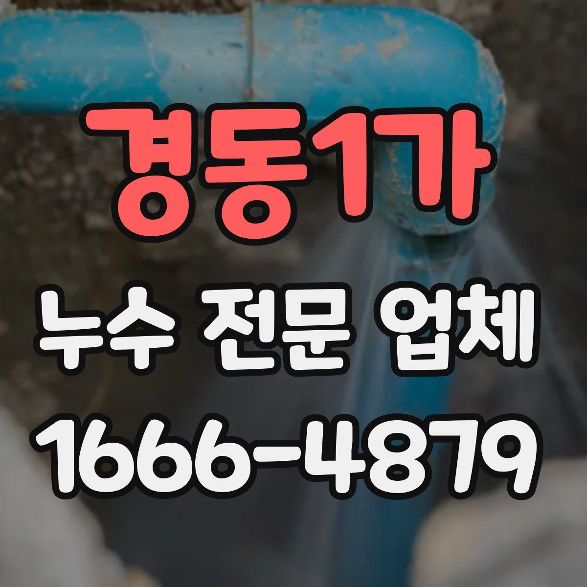 경동1가 누수 전문 업체