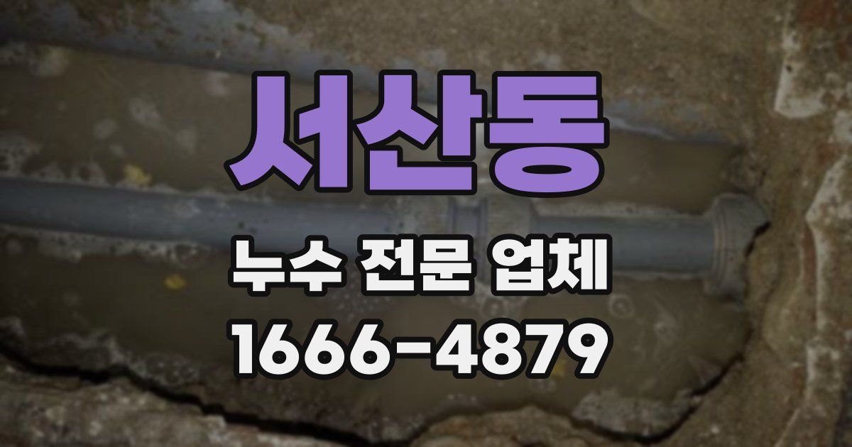 서산동 누수 전문 업체