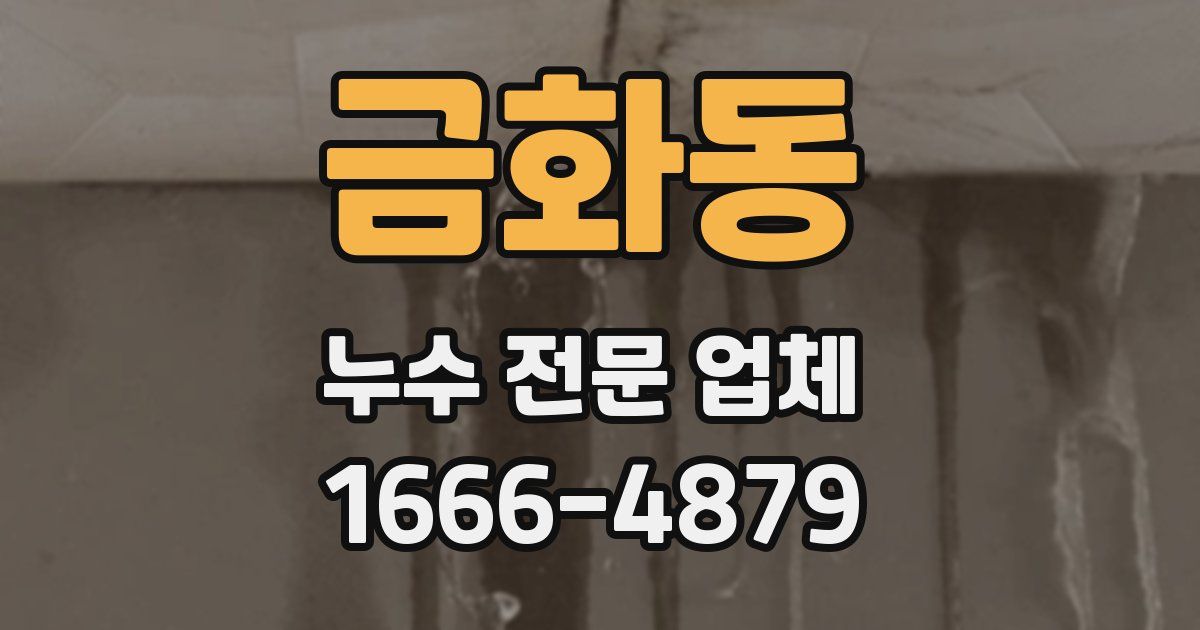 금화동 누수 전문 업체