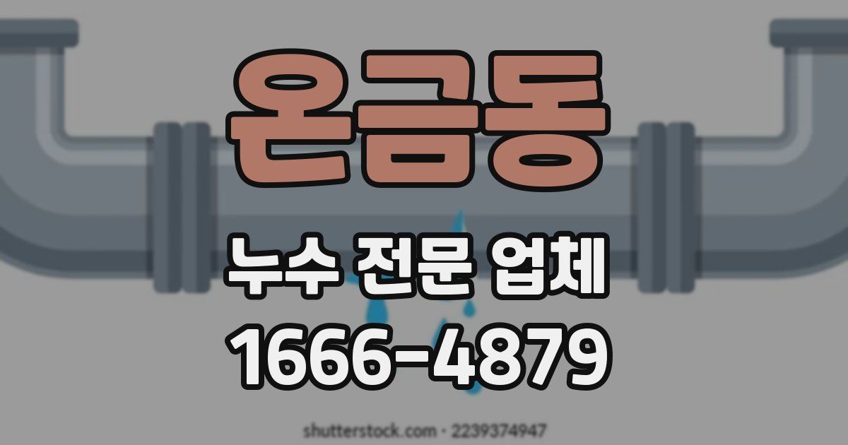 온금동 누수 전문 업체